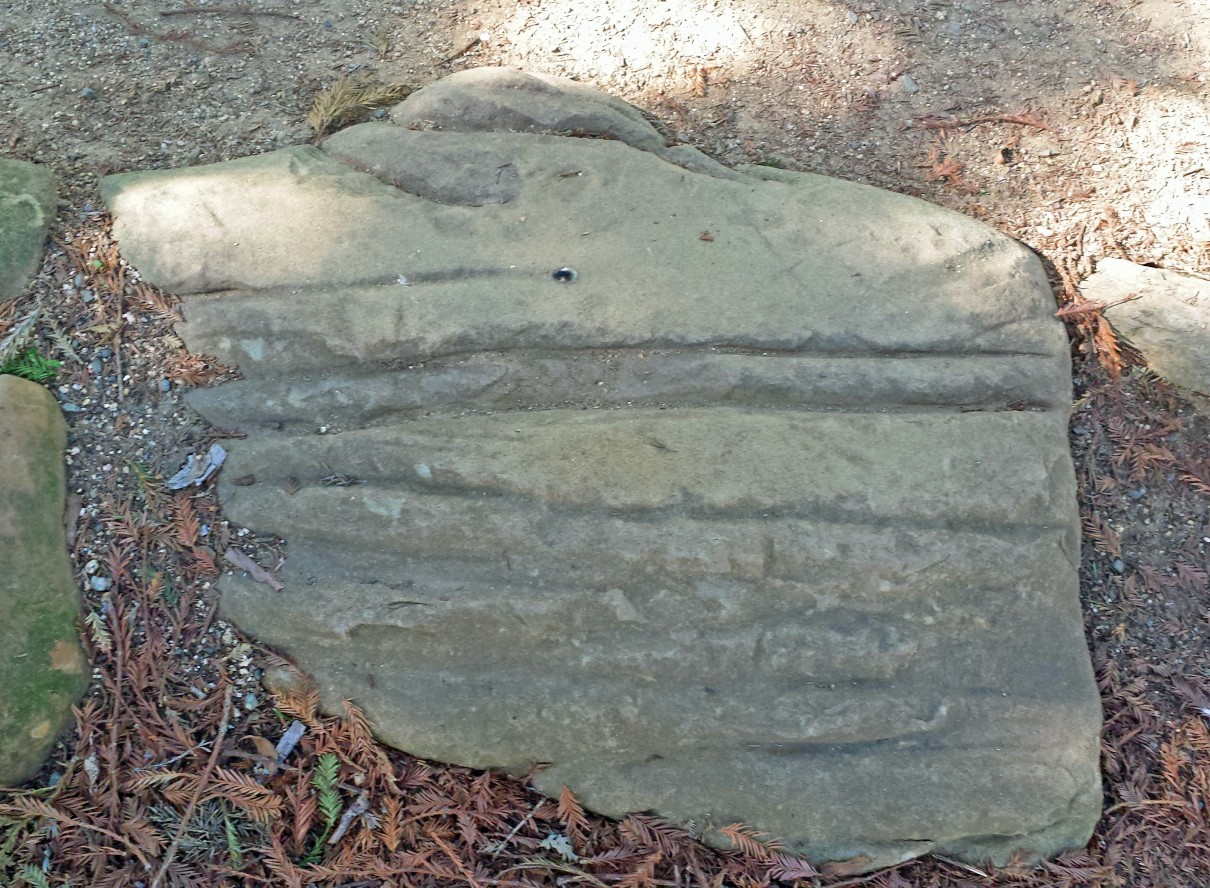 More Information on the Indians of Suisun Valley